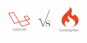 Laravel CodeIgniter Development Services