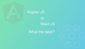 Angular JS Development Company