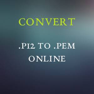 P12 to PEM Convert Online