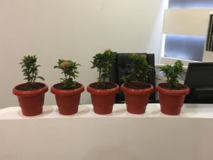 World Environment Day Logistic Infotech