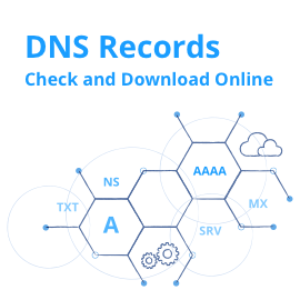 DNS Records Check and Download