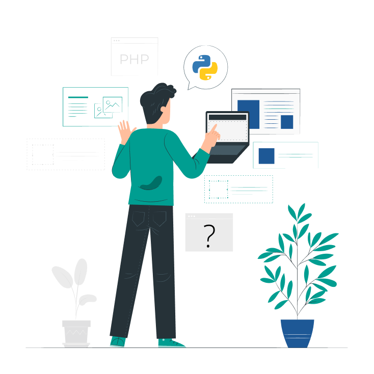 Python Web Development